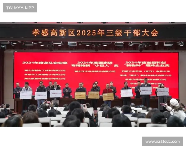 荣获2024房地产卓越企业表现奖彰显行业领导力与创新发展潜力 荣获2024房地产卓越企业表现奖彰显行业领导力与创新发展潜力